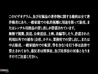 [sakuracircle] Ane Chijo Max Heart 01 (dvd 720x480 H264 Aac) [dcc74be1]
